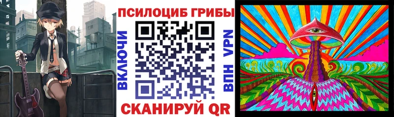 Псилоцибиновые грибы Cubensis  Камешково 